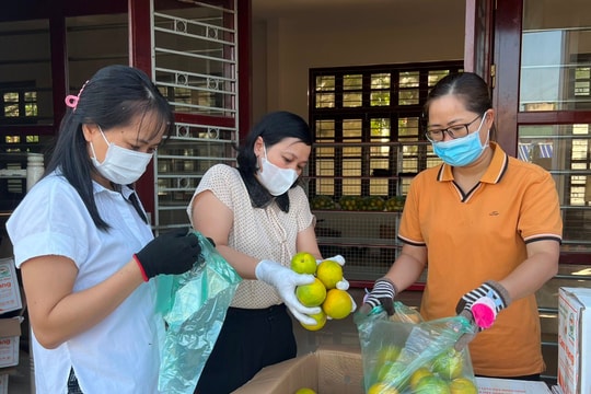 Hải Dương hỗ trợ tiêu thụ cam cho nông dân Hà Giang
