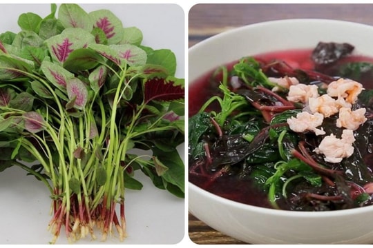 Loại rau "trường thọ" có ở quanh ta