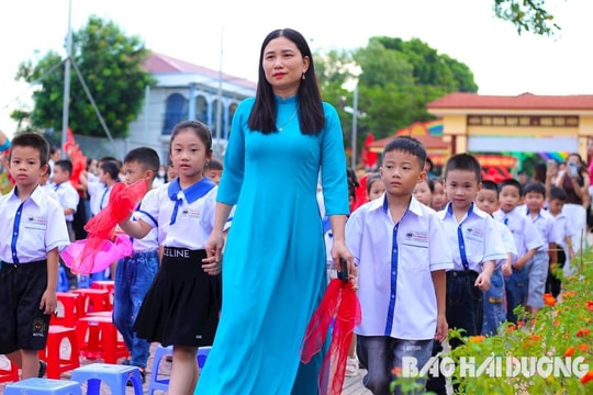 Nơi trồng những mầm xanh