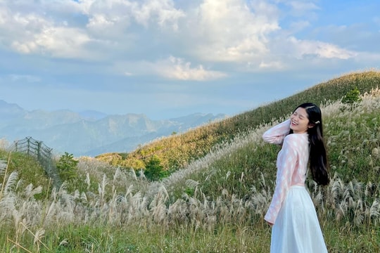 Chinh phục ‘sống lưng khủng long’, dạo đồng cỏ lau đẹp quên lối ở Bình Liêu