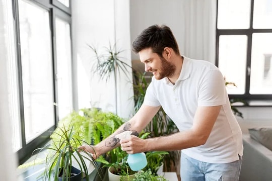 Những sai lầm cần tránh khi trồng cây trong nhà