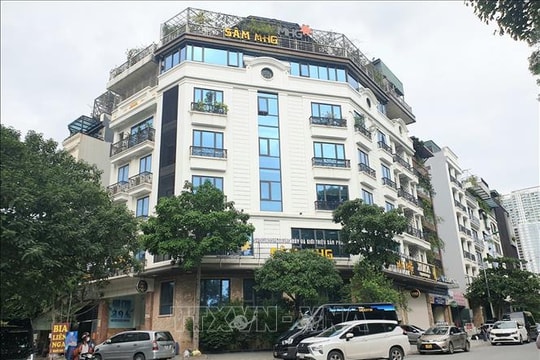 Lừa đảo đầu tư trồng sâm Ngọc Linh, doanh nhân Phạm Mỹ Hạnh bị khởi tố