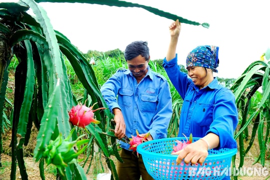"Phố núi" xây dựng nông thôn mới nâng cao