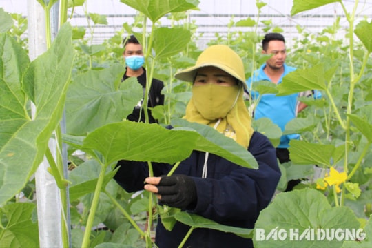 Hỗ trợ không quá 500 triệu đồng/cơ sở nông nghiệp thông minh gắn với chuyển đổi số