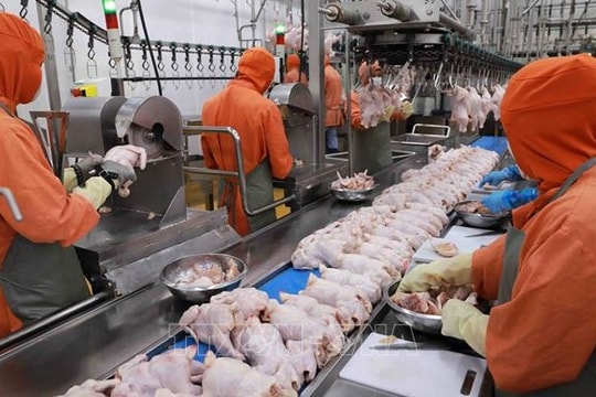 Exporters pin hope on traditional Vietnamese food