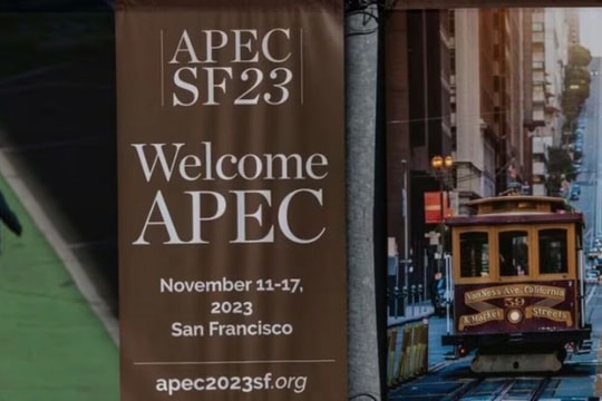Vietnam makes effective contributions to all APEC cooperation aspects: Deputy FM