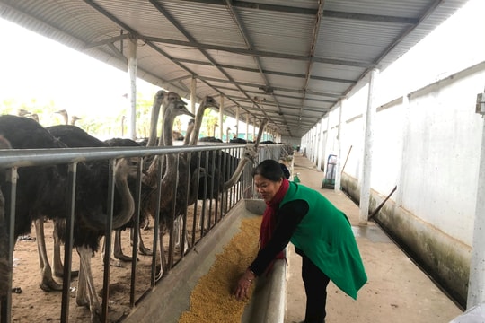 Hải Dương có 10 doanh nghiệp khoa học và công nghệ