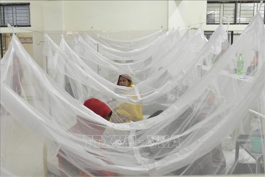 Thủ phạm gây bùng phát dịch sốt xuất huyết tồi tệ nhất ở Bangladesh