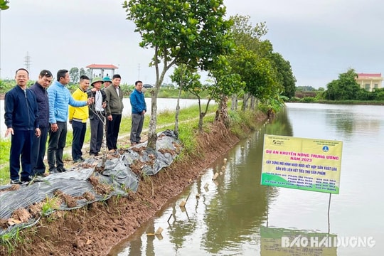 Nông dân Tứ Kỳ lãi trên 618 triệu đồng/ha "nuôi" rươi kết hợp cấy lúa