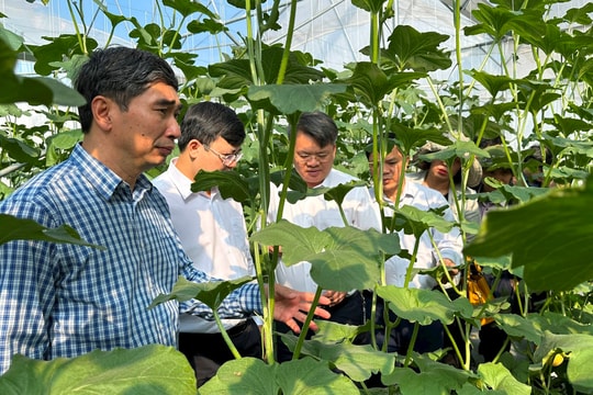 Hỗ trợ nông dân phát triển mô hình nông nghiệp tiêu biểu