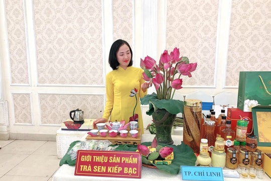 Chuẩn bị 70.000 gói trà sen Kiếp Bạc bán trong dịp Tết