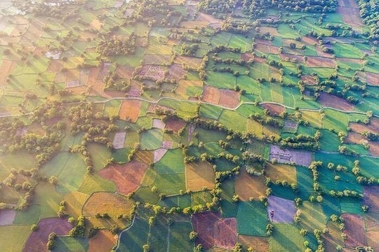 Ghé An Giang mùa lúa chín ngắm nhìn cánh đồng Tà Pạ độc đáo, đủ ô sắc màu