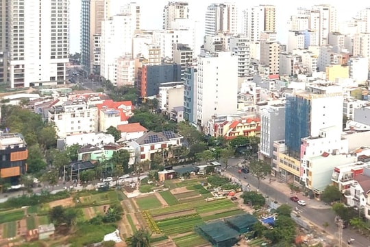 Đà Nẵng bỏ trống hơn 14.000 lô đất trong khi nhiều dự án thiếu chỗ tái định cư