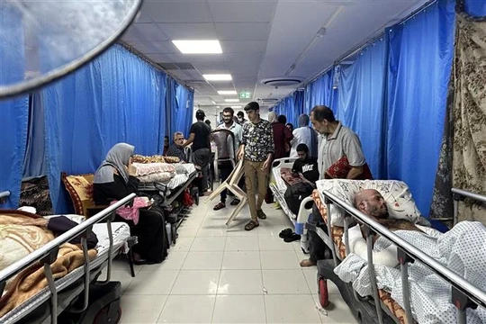 Tổ chức Y tế thế giới kêu gọi sơ tán toàn bộ Bệnh viện Al-Shifa ở Dải Gaza