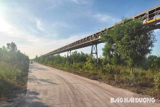 Xử lý ô nhiễm môi trường khu vực bãi thải xỉ Nhà máy Nhiệt điện BOT chưa dứt điểm