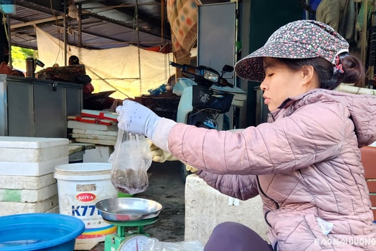 Giá ruốc sông tăng nhẹ
