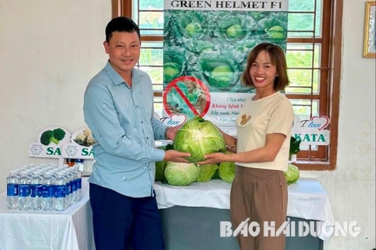 Hợp tác xã Hoàng Nam Phát thu mua trên 100 tấn nông sản mỗi ngày