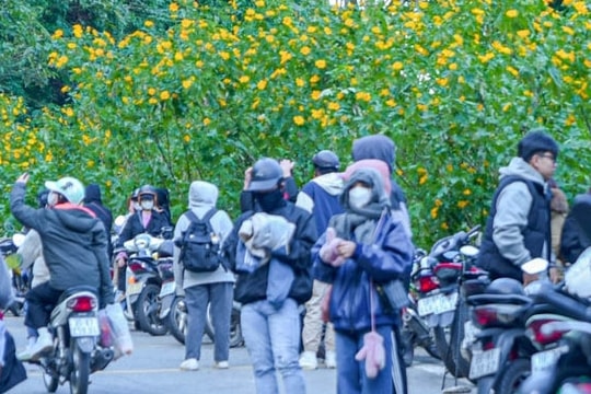 Khách vượt rét 15 độ C, ùn ùn đổ về săn dã quỳ, đường lên Ba Vì tắc 2km