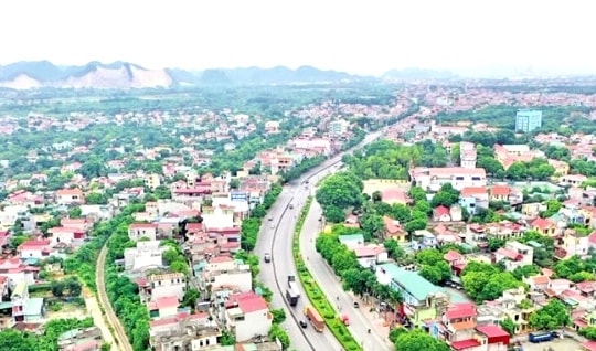 Ninh Bình đấu giá gần 400 lô đất, khởi điểm từ 2,4 triệu đồng/m2
