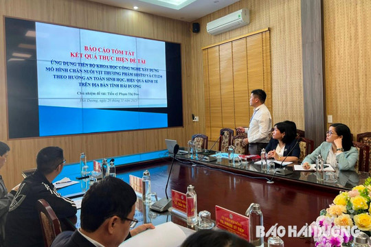 Thêm 2 giống vịt mới để nông dân lựa chọn