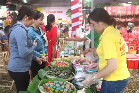 Khai mạc Liên hoan ẩm thực Nam Bộ