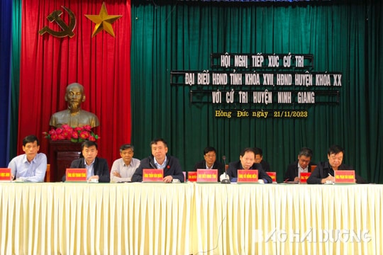 Cử tri Ninh Giang đề nghị hỗ trợ các mô hình sản xuất rau màu quy mô lớn