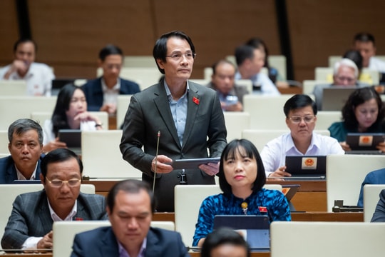 Đại biểu Quốc hội tỉnh Hải Dương góp nhiều ý kiến về Luật Tổ chức Tòa án nhân dân