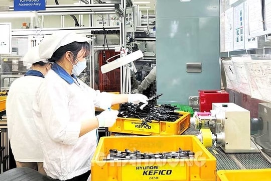Hải Dương số hóa 100% kết quả giải quyết hồ sơ lĩnh vực thành lập và hoạt động doanh nghiệp