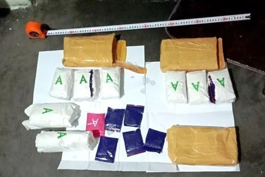 Việt Nam xử lý nghiêm tội phạm ma túy, không phân biệt quốc tịch