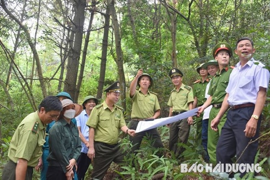 Cảnh báo nguy cơ cháy rừng cấp cực kỳ nguy hiểm tại Kinh Môn