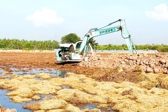 Nông dân xã Nguyên Giáp cải tạo ruộng hoang để nuôi rươi