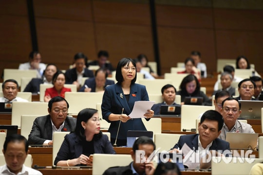 Đại biểu Quốc hội Nguyễn Thị Việt Nga: Chưa thể bỏ quy định rút bảo hiểm xã hội một lần
