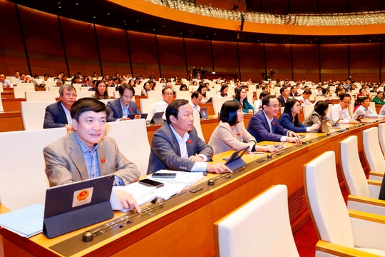 Sự kiện nổi bật ngày 24/11