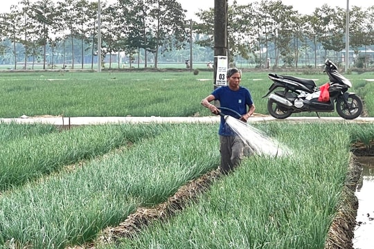 Hội Nông dân xã Quang Thành thực hiện hiệu quả nhiều phong trào