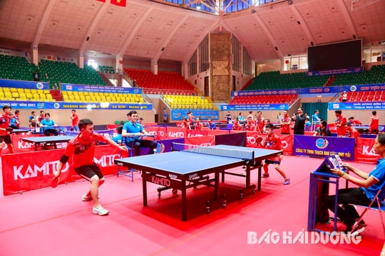 Trên 140 tay vợt tranh tài Giải vô địch bóng bàn tranh cúp “Thạch rau câu Long Hải" năm 2023