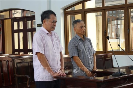 Nguyên Giám đốc Ngân hàng Nhà nước chi nhánh Đồng Nai bị phạt 7 năm tù