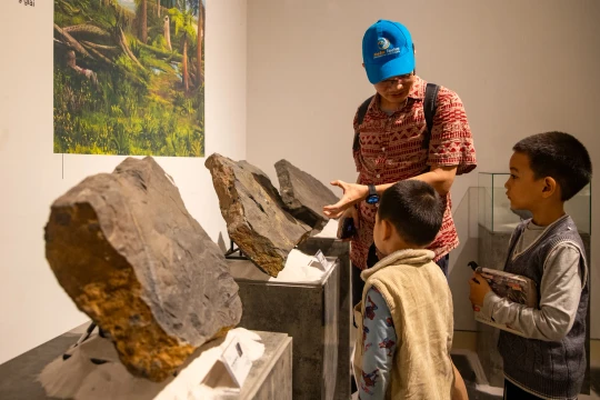 Chiêm ngưỡng bộ sưu tập hóa thạch lịch sử Trái Đất tại Bảo tàng Hà Nội