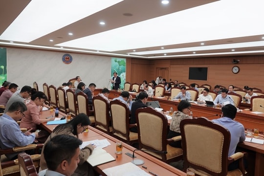 Báo cáo Chính phủ tổng thể giải pháp phát triển trái phiếu doanh nghiệp