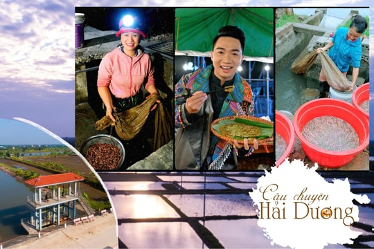 Cống Sồi mang nguồn rươi mới