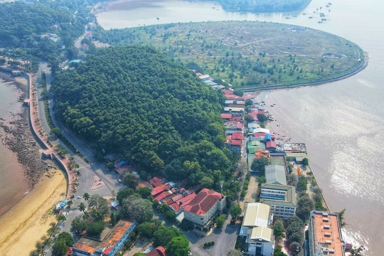 Hiện trạng 26 ha đất ở Đồ Sơn sẽ được đấu giá làm du lịch