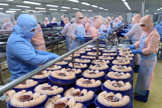 Việt Nam cung cấp tôm lớn thứ hai thế giới, xuất khẩu tới 100 quốc gia
