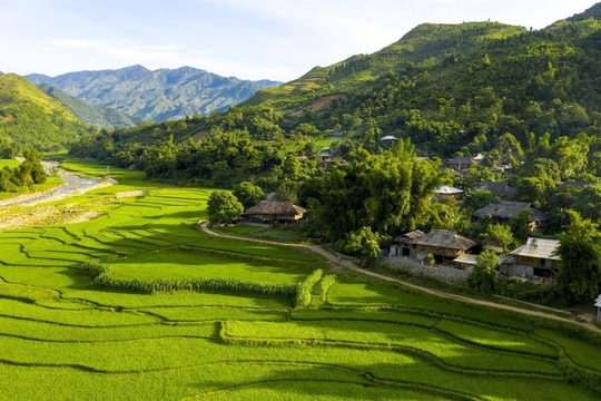 Tú Lệ
