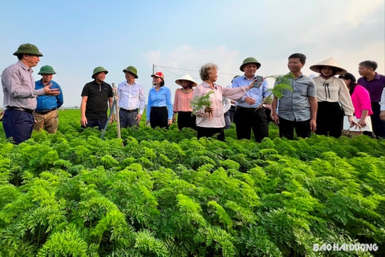 Bộ Nông nghiệp và Phát triển nông thôn phối hợp triển khai kế hoạch sản xuất năm 2024 các tỉnh phía Bắc tại Hải Dương