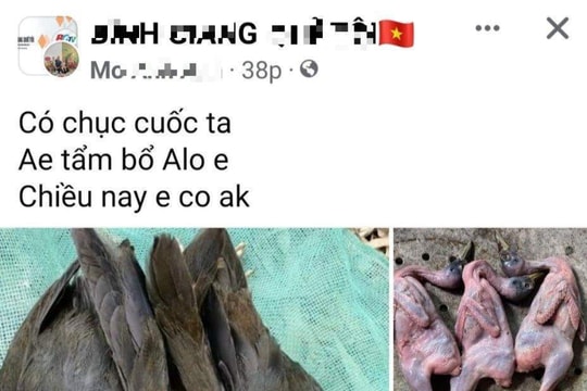 Công khai rao bán chim trời 
