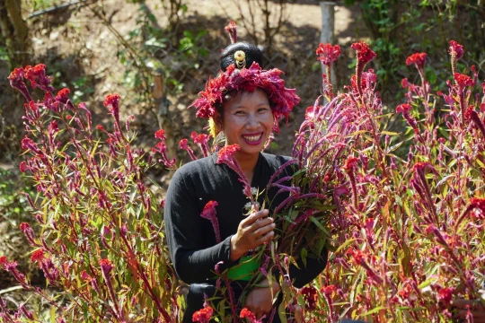 Tết hoa mào gà - nét văn hóa đặc sắc của người Cống ở Điện Biên