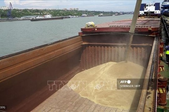 Nga xuất khẩu được 180.000 tấn ngũ cốc sang châu Âu
