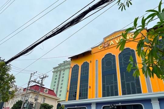 TP Hải Dương giảm 54 điểm vi phạm hành lang lưới điện cao áp
