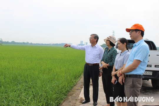 Cử tri Hải Dương kiến nghị gì trước kỳ họp HĐND tỉnh?