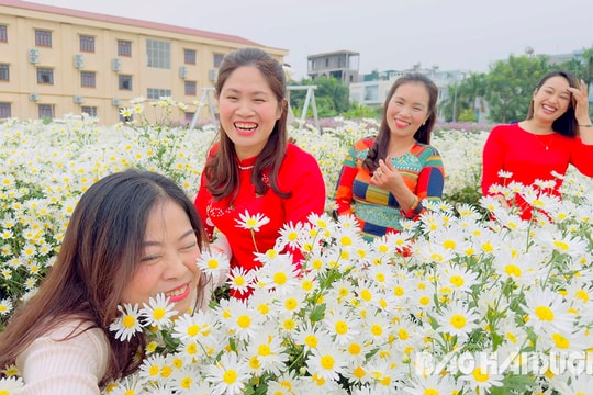 Vườn hoa Tân Bình hút khách check in