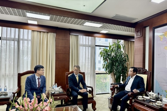 Hai Duong lights way to facilitate investors from afar